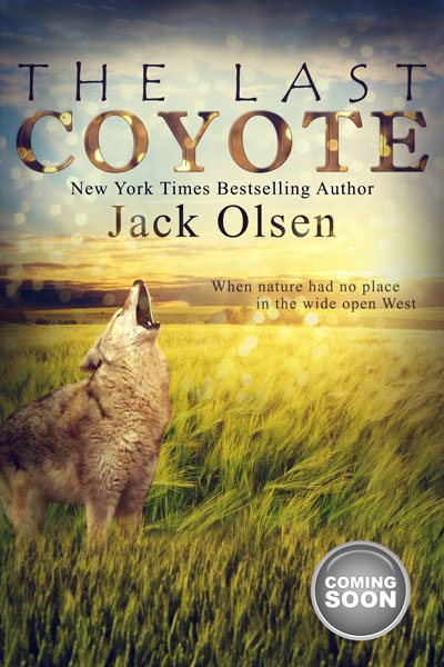 The Last Coyote